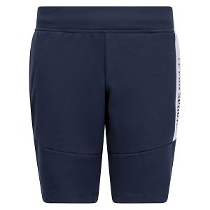 Le Coq Sportif Essentials Nº3 Shorts Kids' Pants Blue | 62TVDIQUZ